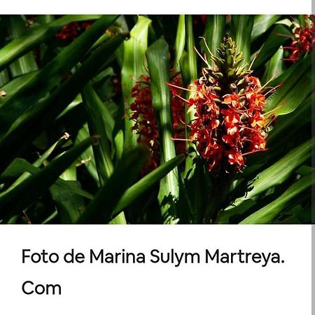 Апартаменты Jardin De Naipi 3 Пуэрто-Игуасу Номер фото