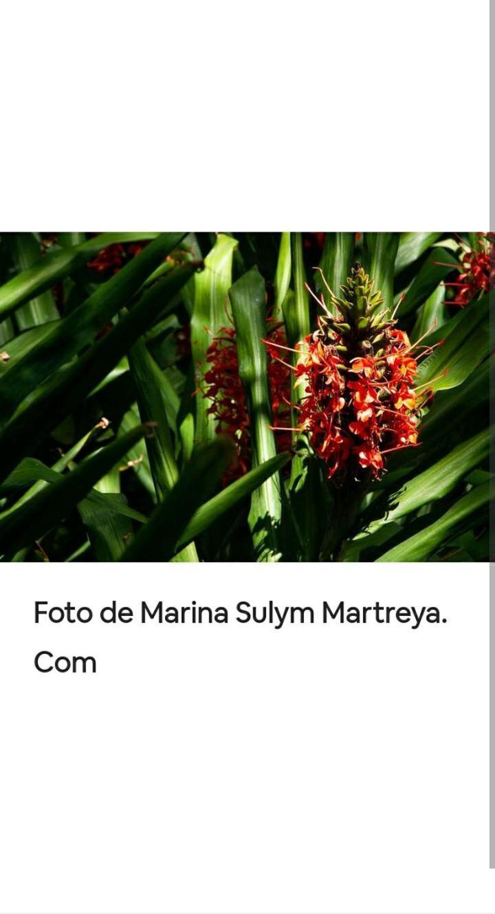 Апартаменты Jardin De Naipi 3 Пуэрто-Игуасу Номер фото