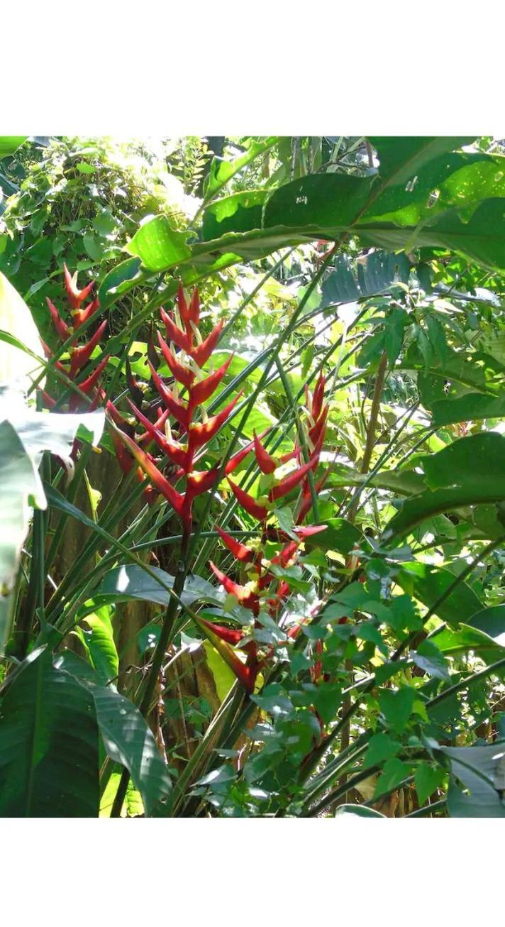 Апартаменты Jardin De Naipi 3 Пуэрто-Игуасу Номер фото